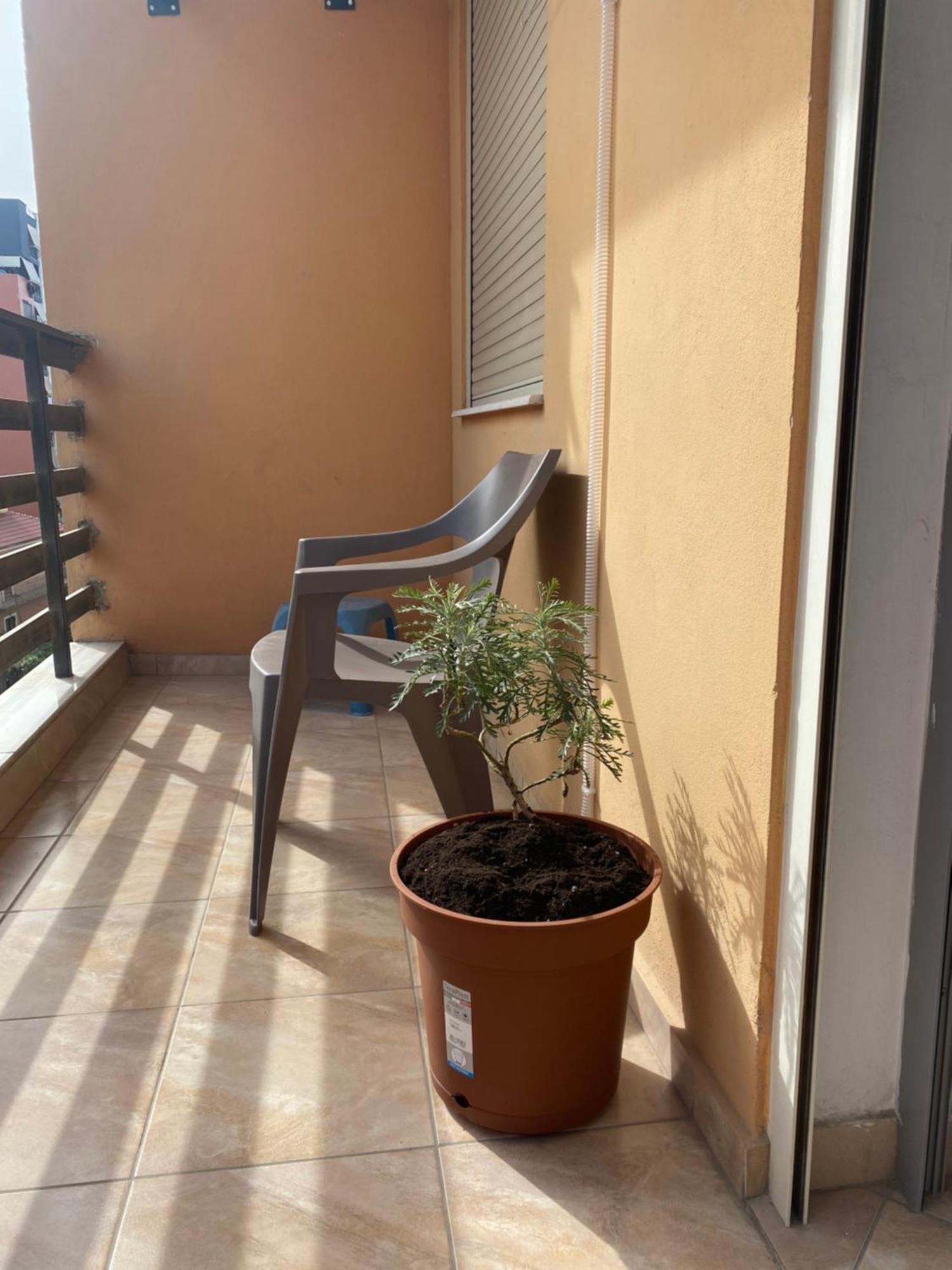 Yzberishti Home Sweet Home - Guest House מראה חיצוני תמונה