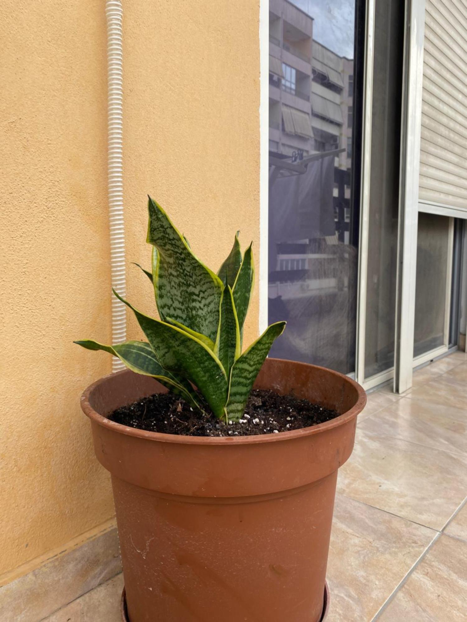 Yzberishti Home Sweet Home - Guest House מראה חיצוני תמונה